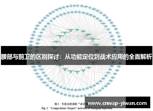 腰部与前卫的区别探讨：从功能定位到战术应用的全面解析