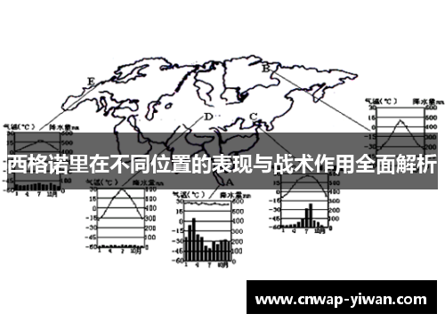 西格诺里在不同位置的表现与战术作用全面解析