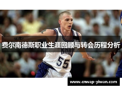 费尔南德斯职业生涯回顾与转会历程分析 费尔南德斯职业生涯回顾与转会历程分析