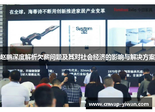 赵鹏深度解析欠薪问题及其对社会经济的影响与解决方案