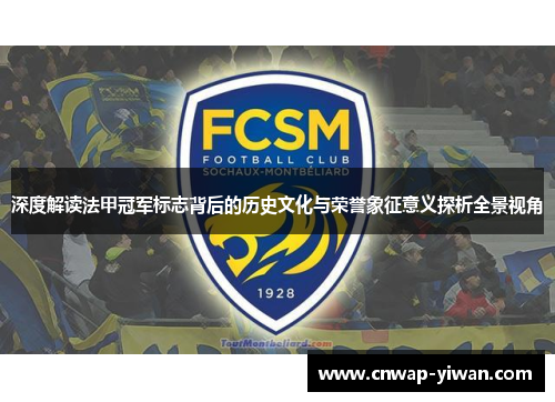 深度解读法甲冠军标志背后的历史文化与荣誉象征意义探析全景视角