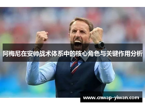 阿梅尼在安帅战术体系中的核心角色与关键作用分析 阿梅尼在安帅战术体系中的核心角色与关键作用分析