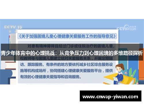青少年体育中的心理挑战:从竞争压力到心理困境的多维路径探析 青少年体育中的心理挑战:从竞争压力到心理困境的多维路径探析