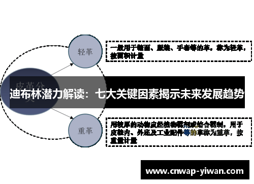 迪布林潜力解读:七大关键因素揭示未来发展趋势 迪布林潜力解读:七大关键因素揭示未来发展趋势